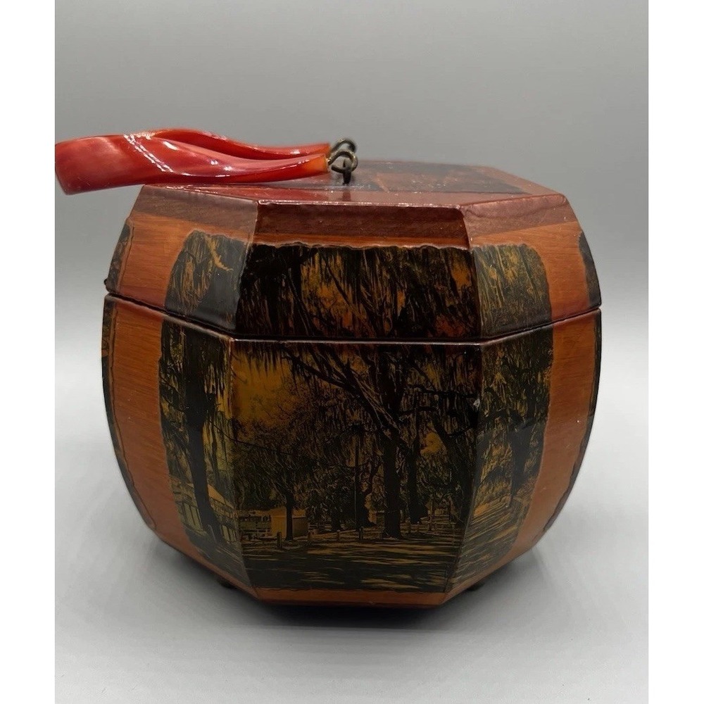 Vtg Wooden Octagon Purse Decoupage Forsyth Park Savannah Lacquered Lucite Handle - Picture 3 of 15